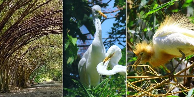 Baras Bird Sanctuary-Tacurong City