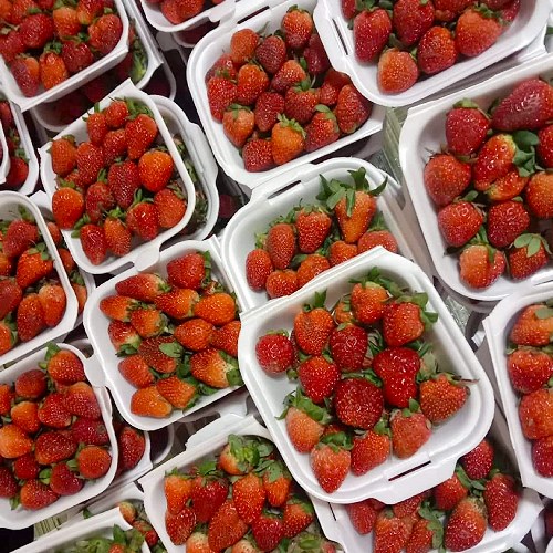 J&A Fresh Strawberries and Baguio products Wholesale&Retail