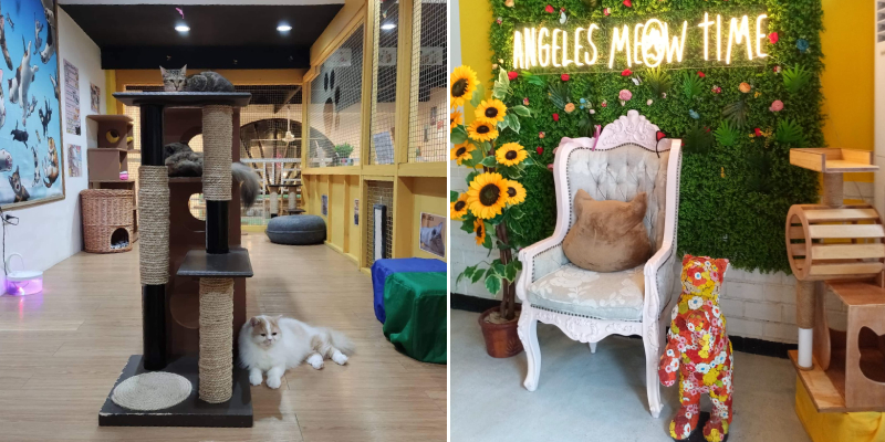Angeles Meow Time CAT Café