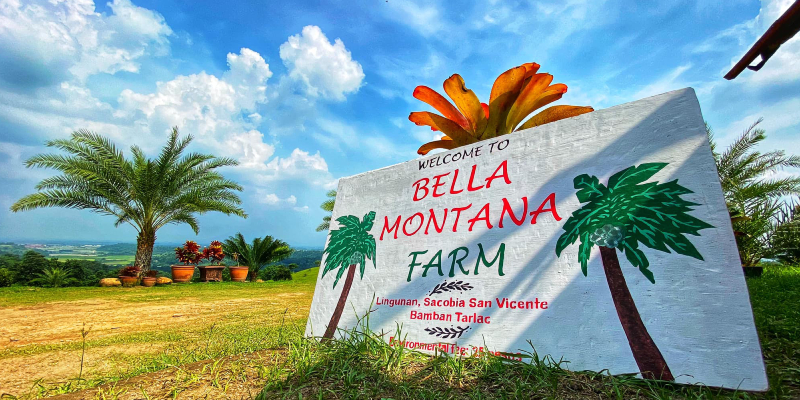 Bella Montana Farm