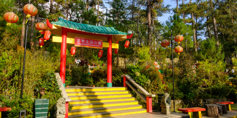 Things to Do in Baguio Botanical Garden