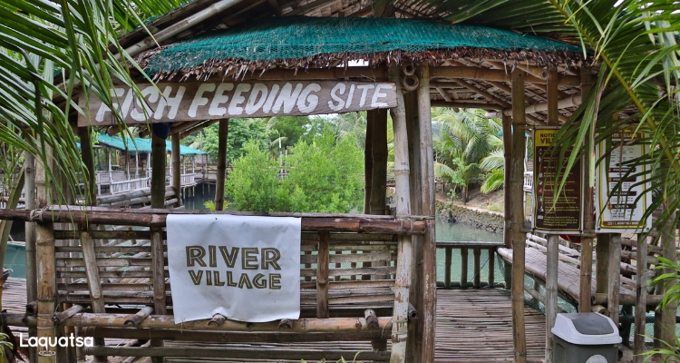 River Village Resort and Restaurant - Fish Feeding