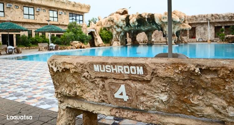 old rock resort - mushroom